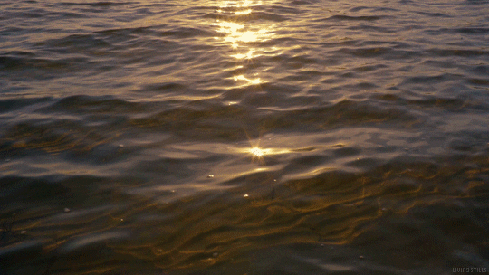 A view of golden sunlight reflected across rippled water